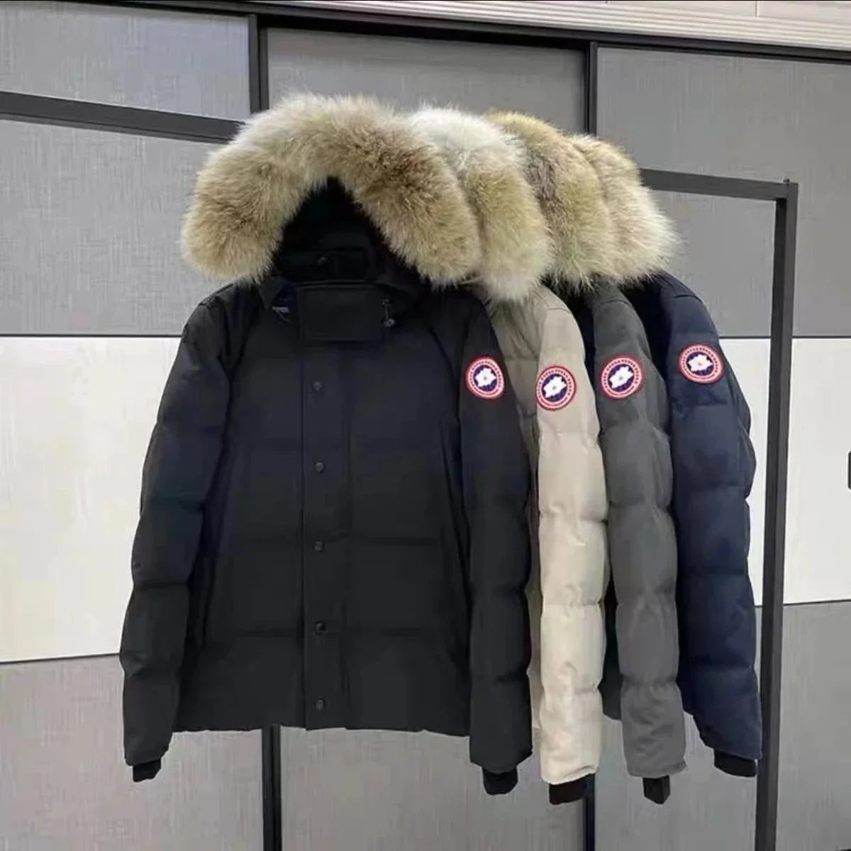 Canada goose jacket Fashion Down Jacket (W2C006)