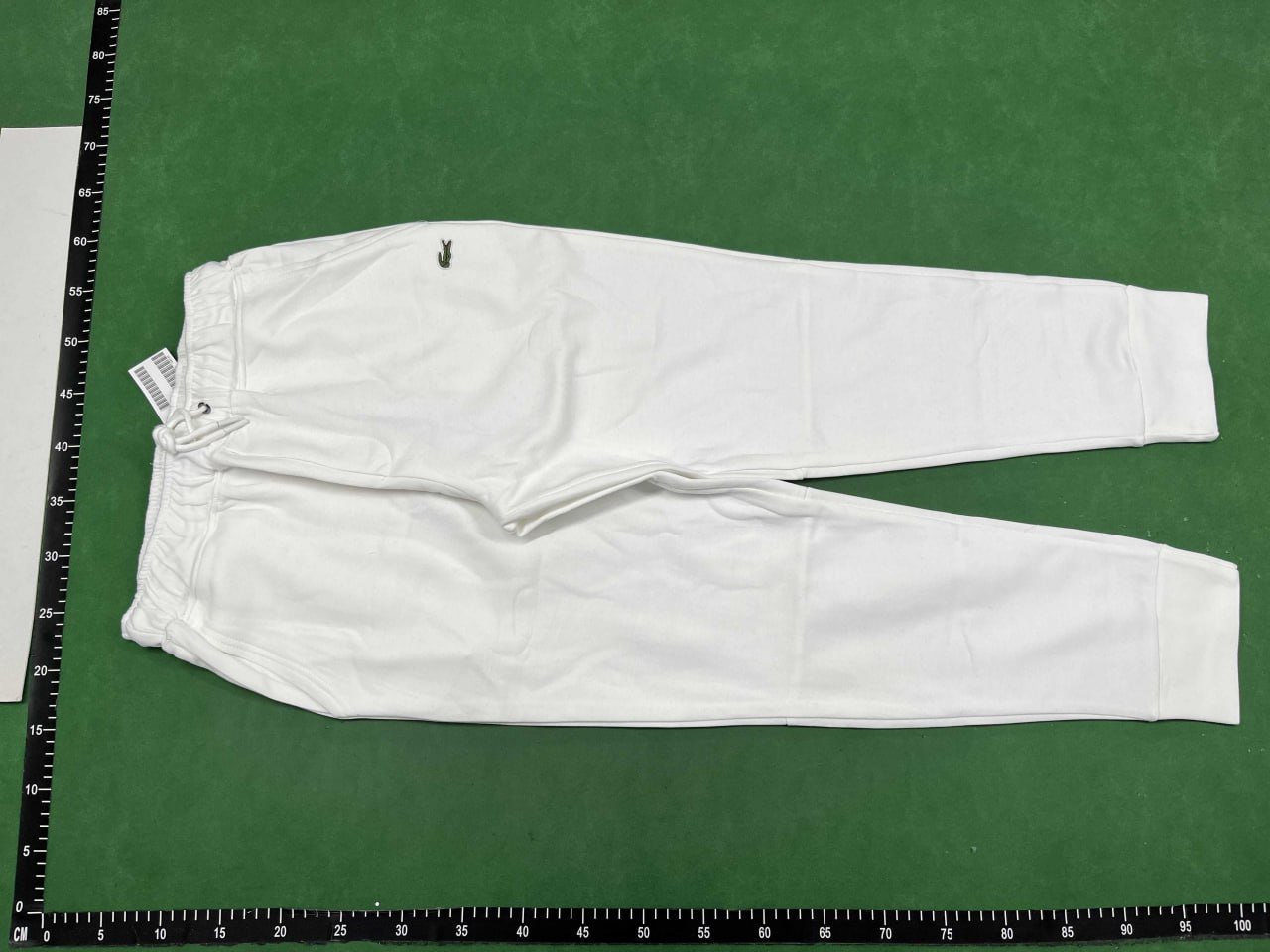 Lacoste Hoodie Suits Set alligator yu