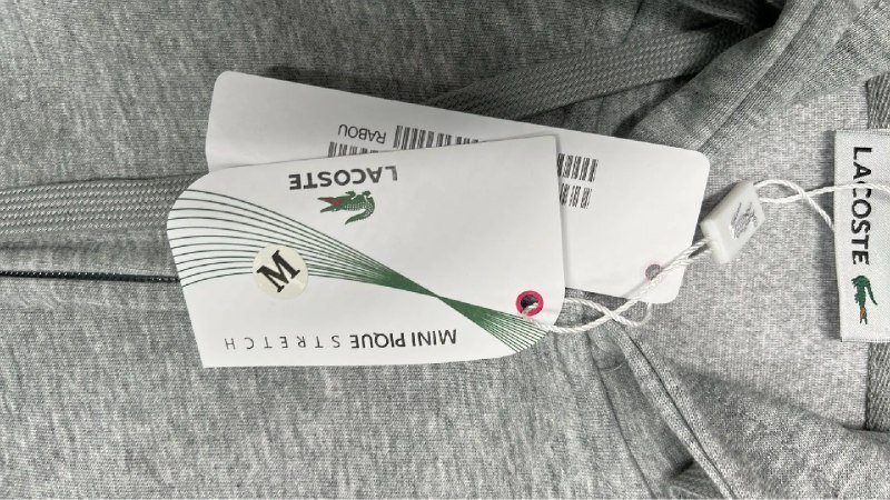 Lacoste Hoodie Autumn and winter casual fashion hooded sweater W2C0049