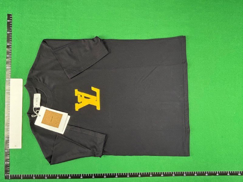  LV T-shirts Fashion short sleeve W2C