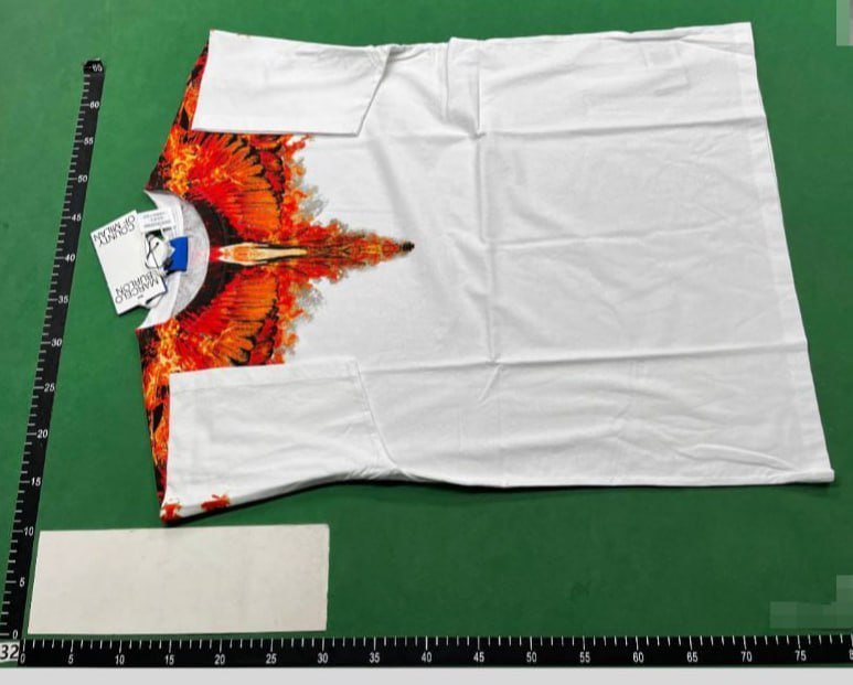 Marcelo Burlon t-shirt tee ZZ02 Short-sleeved Python Lion Head Colorful Feather Wings T-shirt Loose Couple Summer