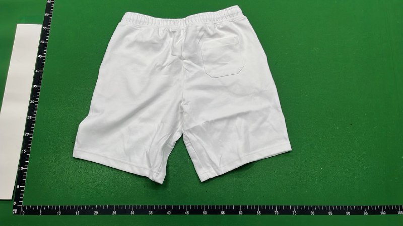 Ralph Lauren Shorts High Quality Beach Shorts