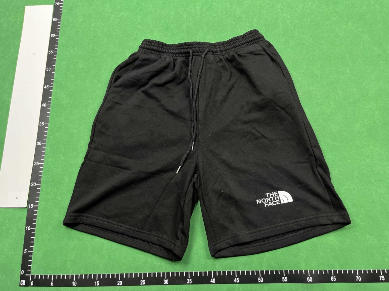 TNF The North Face Shorts Fashion Shorts 001