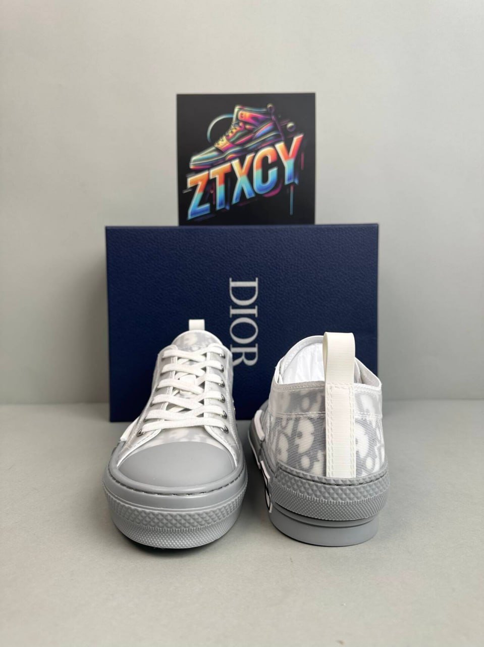  DIOR B23  SHOES   D10RCY