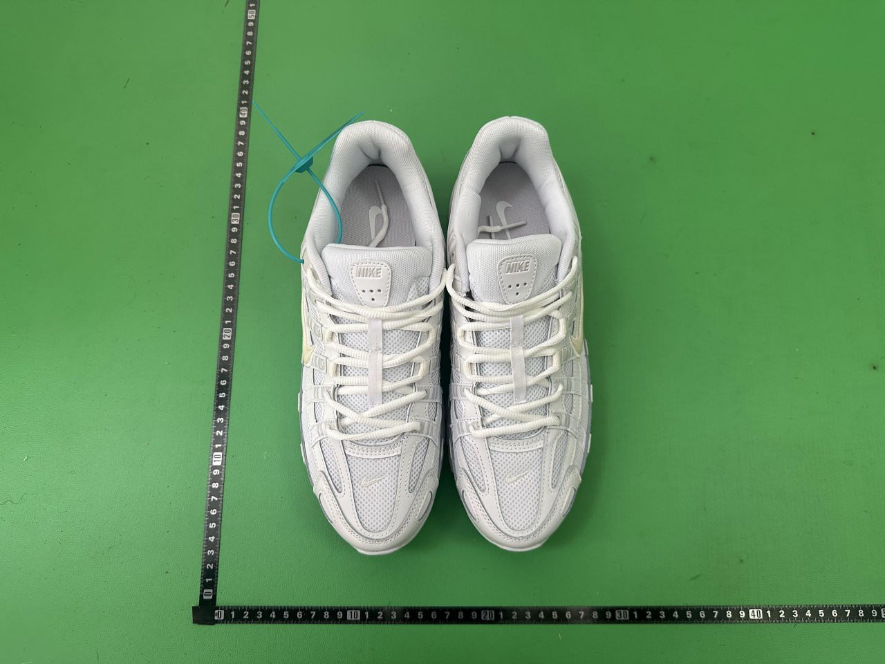 # CNn1 * ep6000collection