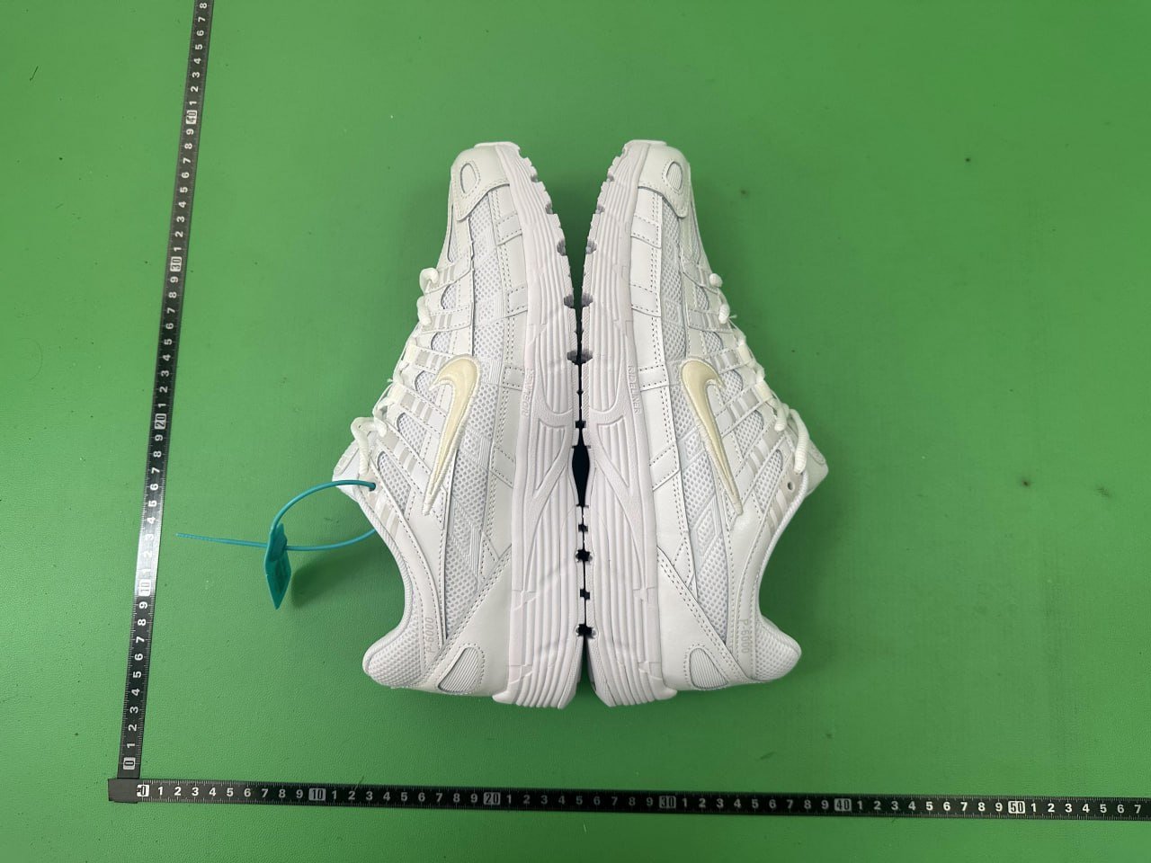 # CNn1 * ep6000collection