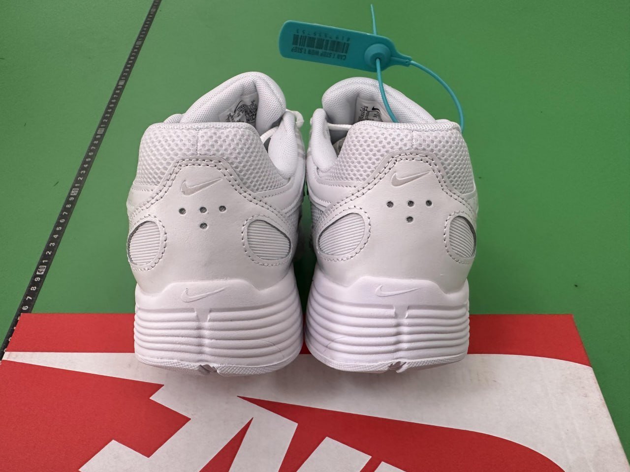 # CNn1 * ep6000collection