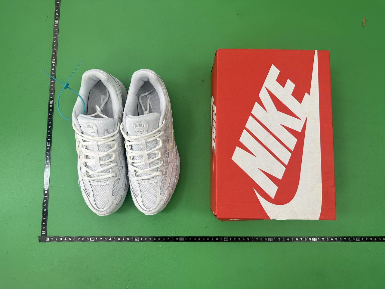 # CNn1 * ep6000collection