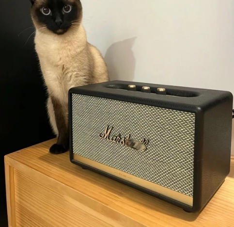 Big audio speaker th